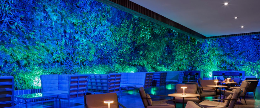 Entre Hojas Lounge, La Castellana, Caracas, Venezuela