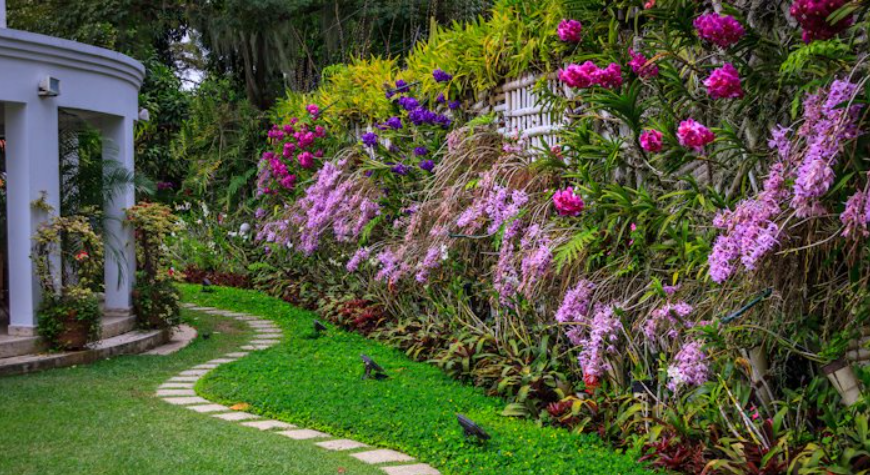jardines colgantes-jardines verticales-Venezuela-Colombia-Colombia-Ecuador-Perú-Argentina-Uruaguay-Paraguay-México-El Salvador-Nicaragua-Honduras