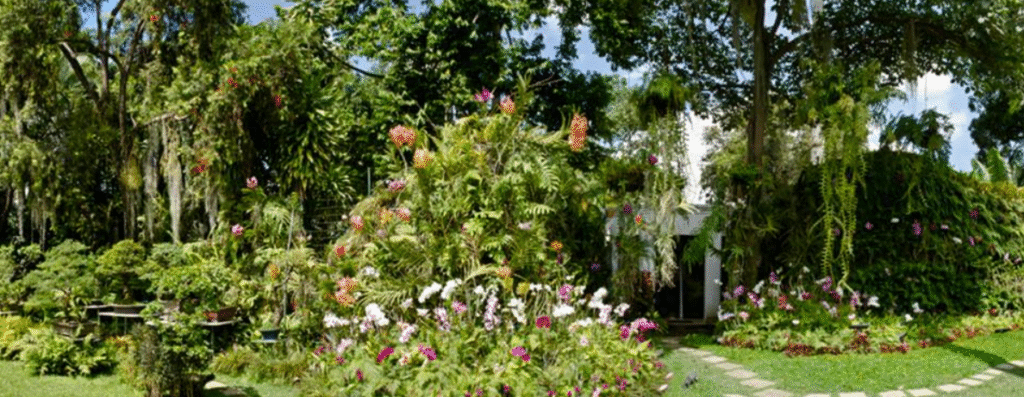 jardines colgantes-jardines verticales-Venezuela-Colombia-Colombia-Ecuador-Perú-Argentina-Uruaguay-Paraguay-México-El Salvador-Nicaragua-Honduras