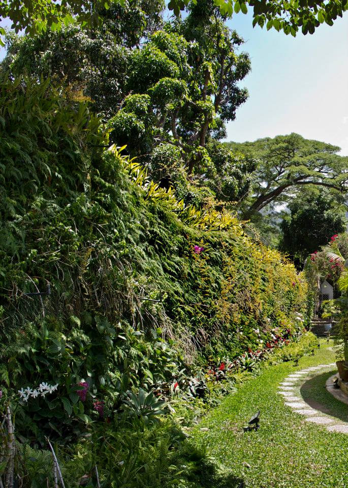 jardines colgantes-jardines verticales-Venezuela-Colombia-Colombia-Ecuador-Perú-Argentina-Uruaguay-Paraguay-México-El Salvador-Nicaragua-Honduras