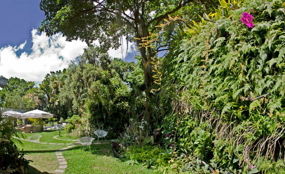Jardín vertical de la casa de Diana Tamayo en Caracas