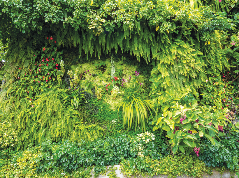 ardines colgantes-jardines verticales-Venezuela-Ecuador-Colombia-España-Panamá-Uruguay-Argentina-Perú-Costa Rica-Salvador-jardinería-jardines colgantes