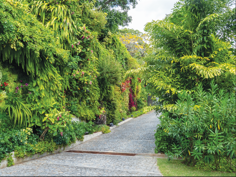 jardines colgantes-jardines verticales-Venezuela-Ecuador-Colombia-España-Panamá-Uruguay-Argentina-Perú-Costa Rica-Salvador-jardinería-jardines colgantes