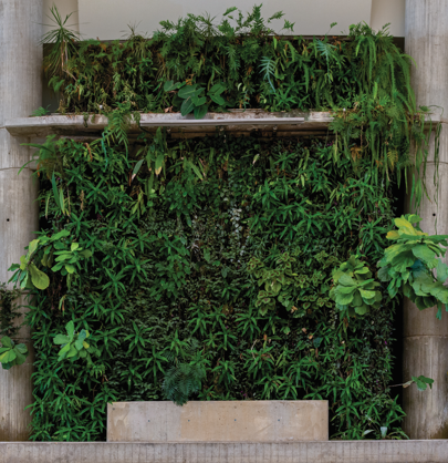 Parte central del Jardín vertical del centro comercial costa azul