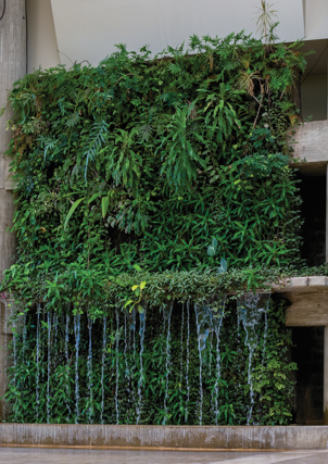 Parte central del Jardín vertical del centro comercial costa azul