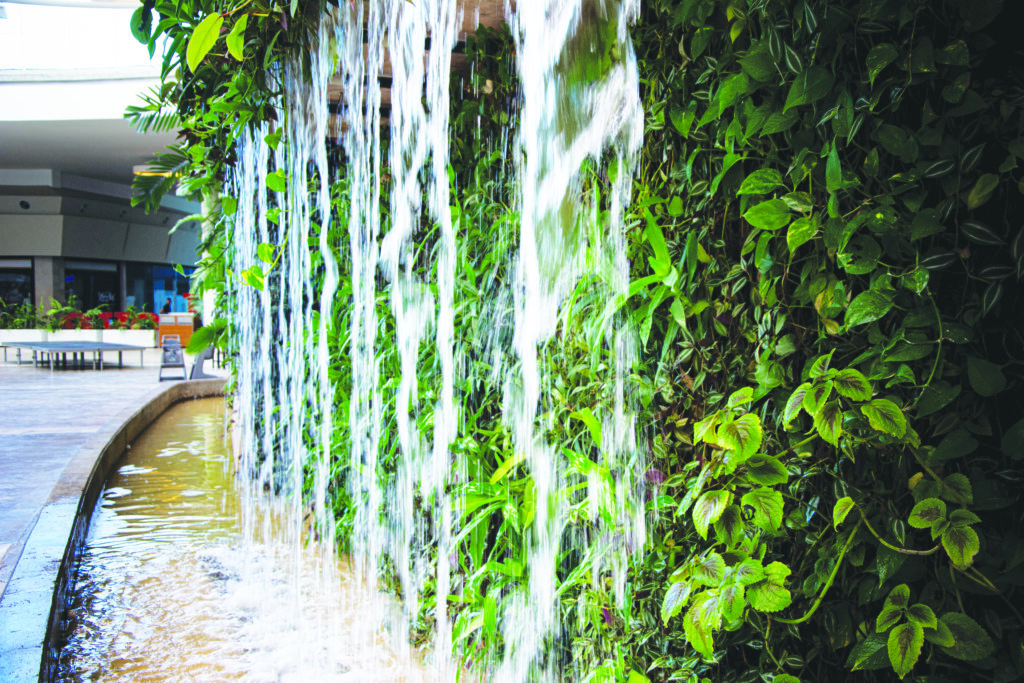 cascada del jardín vertical centro comercial costa azul