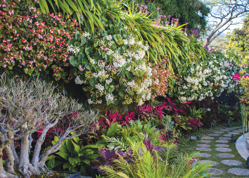 Jardín de Palmasola